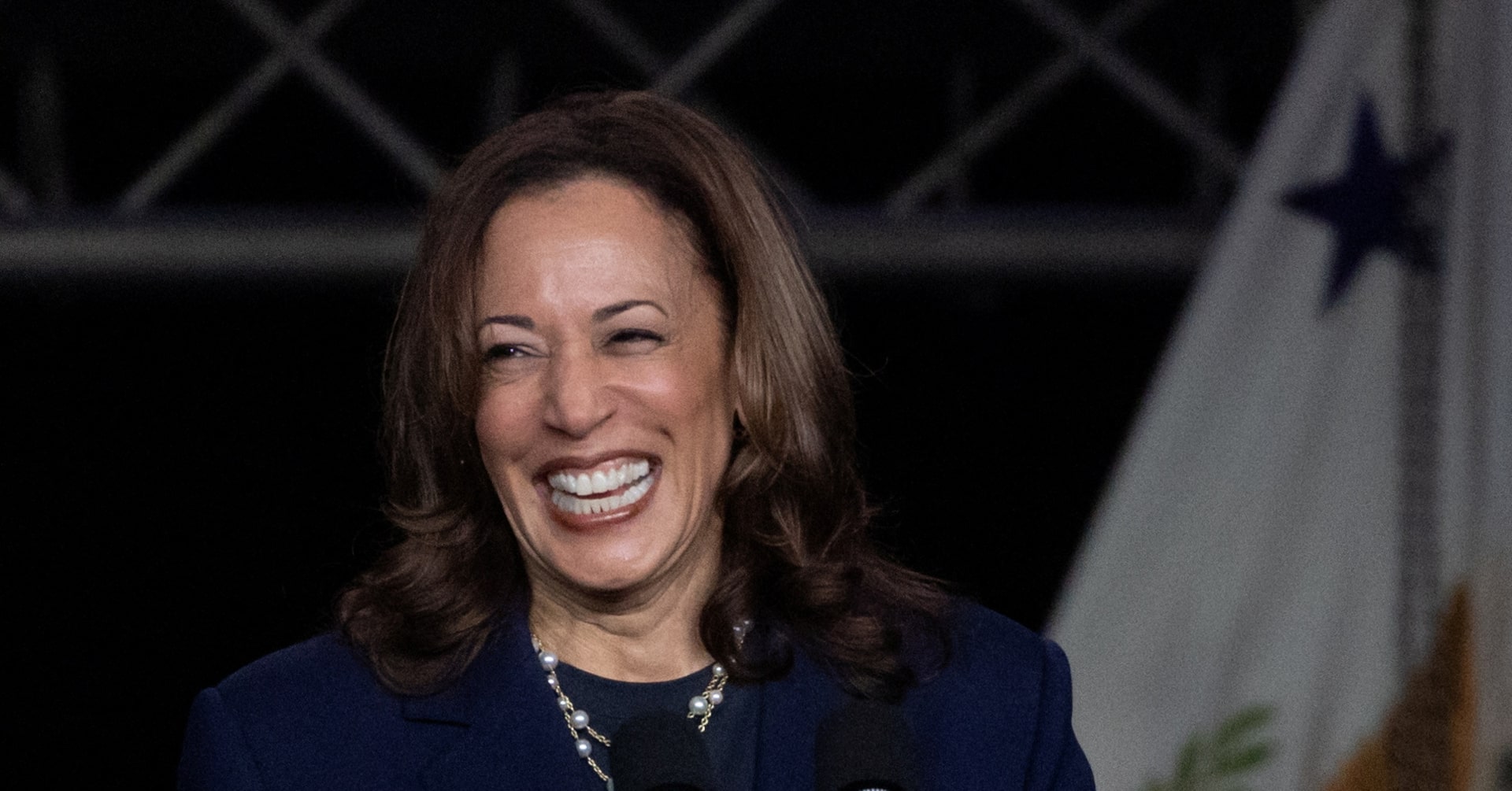 Fact Check: Kamala Harris has long identified as Black, contrary to...